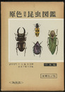 原色日本昆虫図鑑　上　甲虫編　増補改訂版  