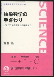 抽象数学の手ざわり ピタゴラスの定理から圏論まで 