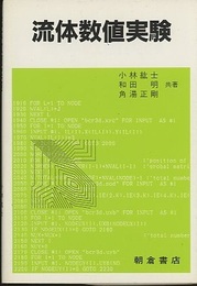流体数値実験  