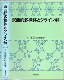 双曲的多様体とクライン群  