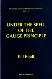 Under the Spell of the Gauge Principle (Soft)  