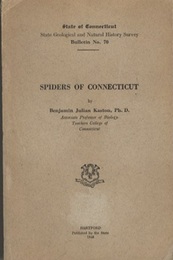 Spiders of Connecticut  