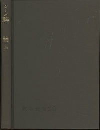 群論　上  