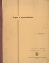 Report on Injective Modules  