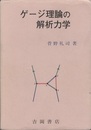 ゲージ理論の解析力学  