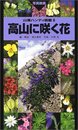 高山に咲く花（旧版） 写真検索 