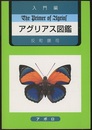 入門編　アグリアス図鑑  