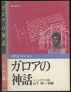 ガロアの神話 現代数学のバルジ 