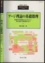 ゲージ理論の基礎数理 物理学的背景からトポロジー，微分幾何，関数解析まで 