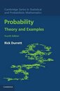 Probability : Theory and Examples : 4th Edition (英) 確率論：第4版 