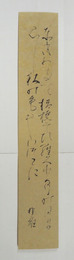 塚本邦雄短冊　『ときめきて桔梗ぞ開く少年の日に見し秋の色やいづこに』毛筆書
