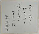 色川武大色紙　『花のさかりは地下道で埃だらけの空きッ腹』　筆ペン書