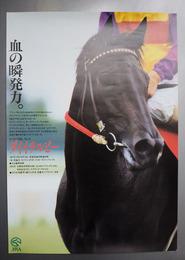 ＪＲＡポスターヒーロー列伝　ダイイチルビー　Ｂ３サイズ