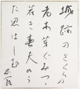 吉村正一郎色紙　『城跡のさくらの老木芽ぐみつゝ若き春夫のうた思はしむ』　毛筆書　少痛少シミ有
