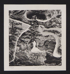 司修石版画「洪水はわが魂に及び」　限３５　３、世界の終り…　サイン入　　台紙貼付