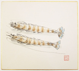 網干啓四郎色紙　えびのイラスト　色鉛筆画に水彩で彩色　落款入　裏に署名有