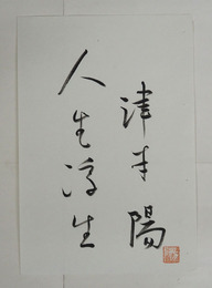 津本陽書まくり　『人生浮生』筆ペン書　落款入　ピンホール有　２４０×１６４ミリ