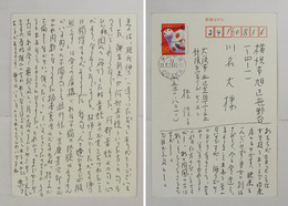 桂信子葉書　川名大宛　Bペン書１４行と表面にも14行　『…俳句はいろいろにとられるのでこわいですね…』