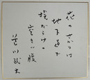 色川武大色紙　『花のさかりは地下道で埃だらけの空きッ腹』　筆ペン書
