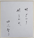田辺聖子色紙　『姥ざかり　姥うかれ』　毛筆書