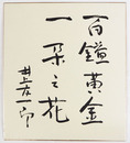 井上友一郎色紙　『百鎰黄金一朶之花』　毛筆書　少折有