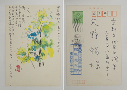 司馬遼太郎葉書　矢野暢宛　ペン書７行　水彩画（アカシア）署名入　住所はスタンプ印