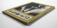石井漠研究　日本近代舞踊の黎明 (ダンスワークNo.36特別号・現在の舞踏双書1)