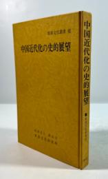 中国近代化の史的展望(東亜文化叢書 6)