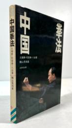 中国拳法 : 太極拳・形意拳・八卦掌