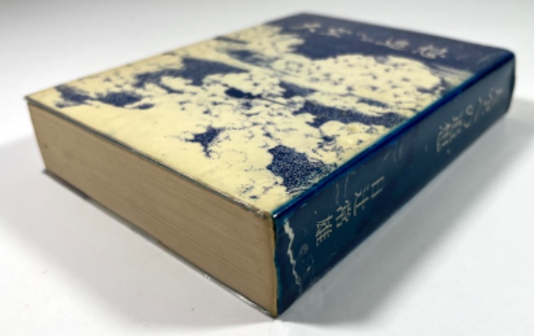 「大空への追想」日辻 常雄 大空への追想(日辻常雄) ⁄ 古本、中古本、古書籍の通販は「日本の
