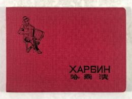 追想の哈爾濱