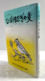 ひばりまたぎの麦