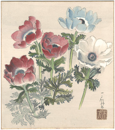 自筆色紙 花（仮題）　Flowers (tentative title)