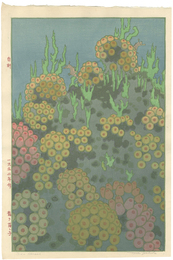 龍の落し子　Sea Horses