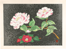 椿　Camellia