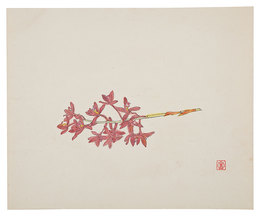 陶画集より　蘭花　Orchid