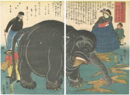 新渡舶来之大象　Great Elephant Recently Imported from Overseas