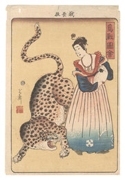 鳥獣図会　Picture of Birds and Animals
