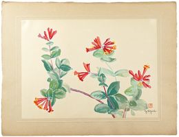 つきぬきにんどー　Trumpet Honeysuckle