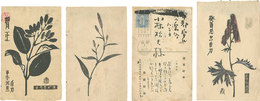 自筆葉書　Postcards