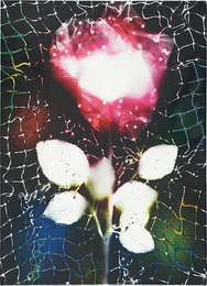 作品　Untitled