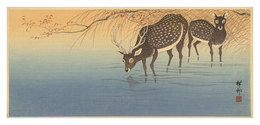 つがいの鹿　Pair of Deer
