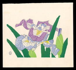 花菖蒲（仮題）　Iris(tentative title)
