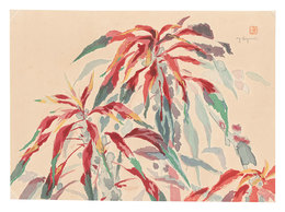 萬華画譜　はげいと　Picture Album of Various Flowers / Tampala