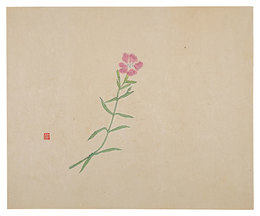 陶画集より　撫子　Pink