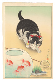 金魚鉢に猫　Gold-fish Basin and Cat