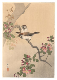 雀（仮題）　Sparrows (tentative title)