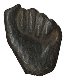 手　Hand