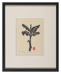 若芽の芭蕉　Young Japanese Banana