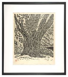 ポトマック河畔の楓　Maple Tree on the Potomac Riverbank